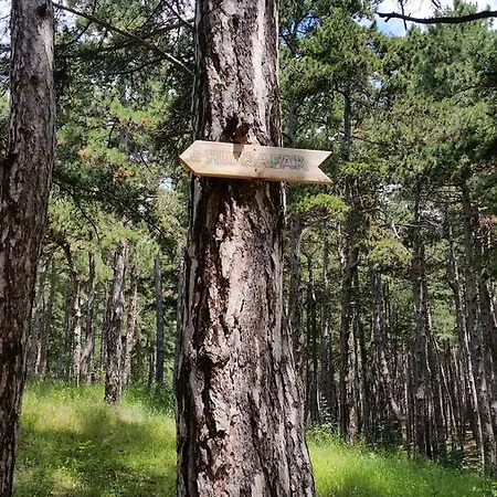 Humsafar Place Fogadó Szopot